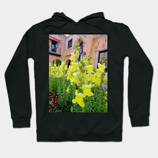 Sunny Snaps Hoodie